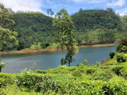 Field Visit Location